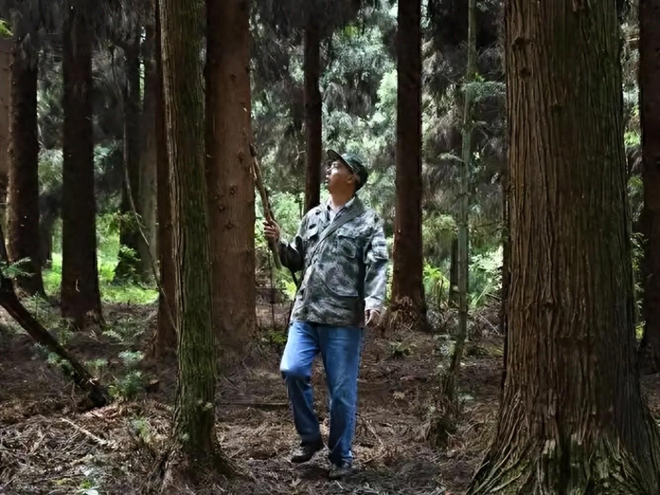 FB体育-监守自盗！2021年，江苏一护林员2年多猎杀8只，清洗尸体时暴露